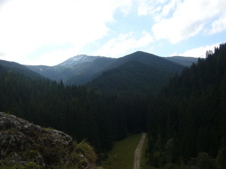 cistilismerohace4_20080930_2015121478.jpg