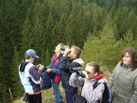 cistilismerohace7_20080930_2015835142.jpg