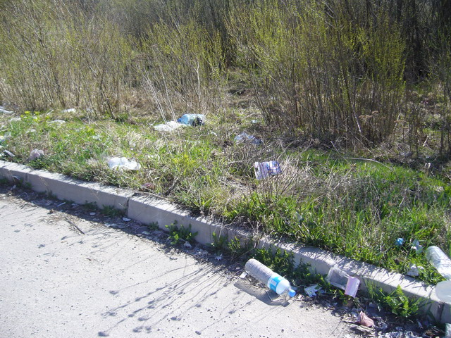 P1020832.jpg