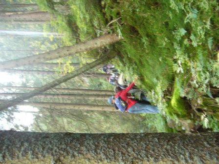 cistilismerohace2_20080930_1977329158.jpg