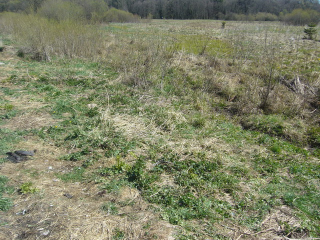 P1020872.jpg