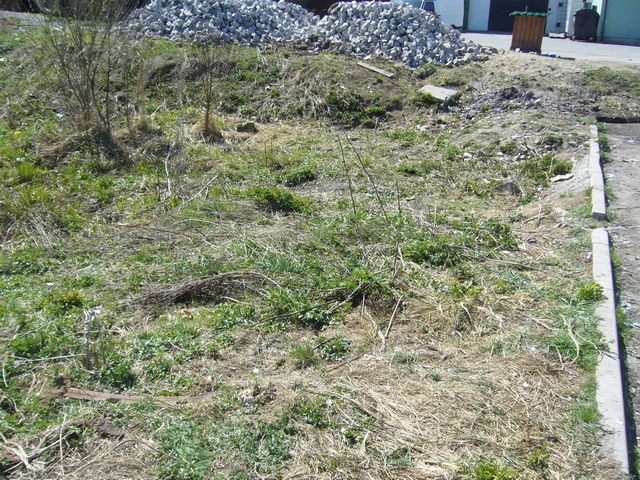 P1020873.jpg