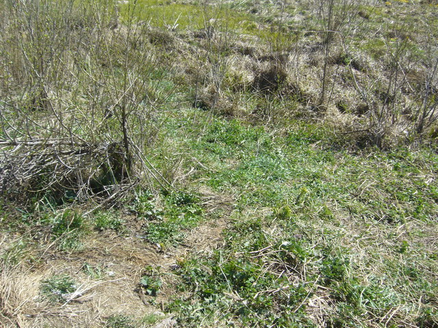 P1020875.jpg