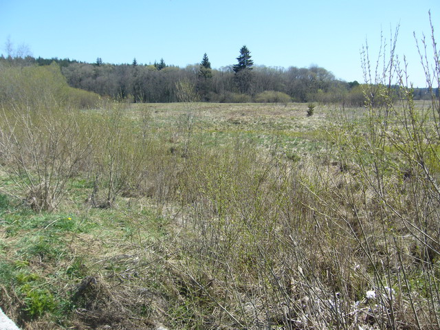 P1020876.jpg