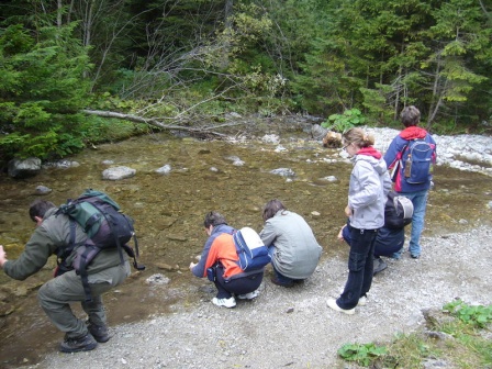 cistilismerohace4_20080930_1027624594.jpg