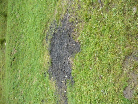 cistilismerohace0_20080930_1080413390.jpg