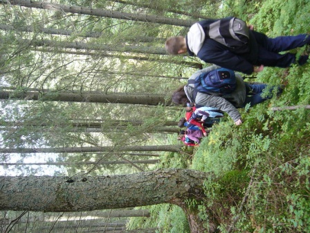 cistilismerohace3_20080930_1147522711.jpg