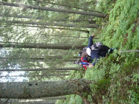 cistilismerohace5_20080930_1547411769.jpg