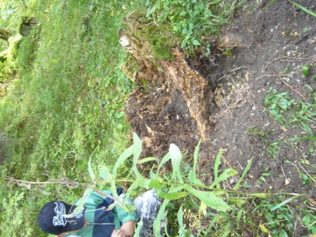 cistilismerohace1_20080930_1925420000.jpg